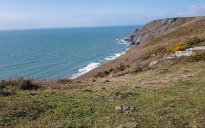 Bolberry Down – Coastal moment, Devon – March 2019